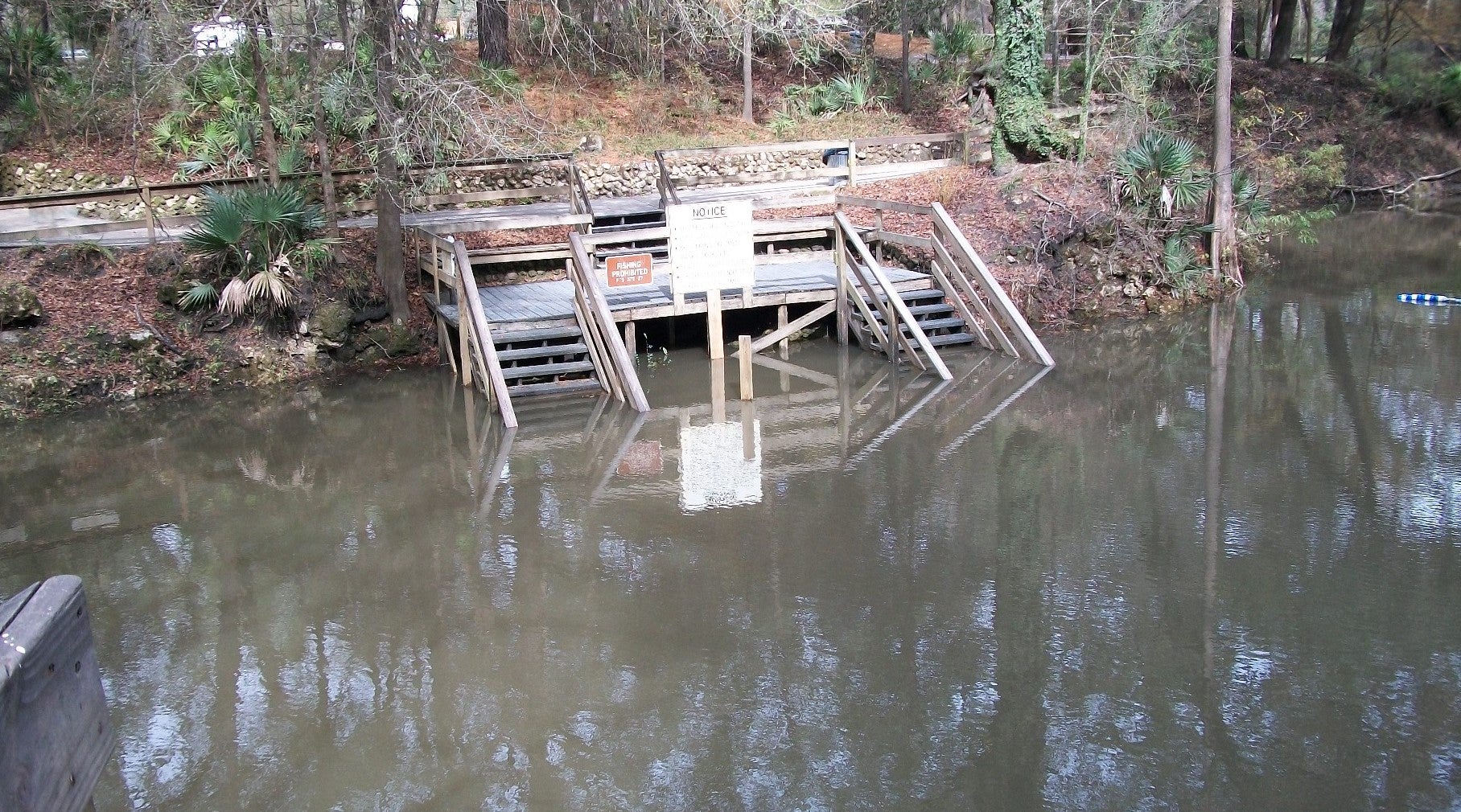 The Dynamic Withlacoochee River Florida State Parks